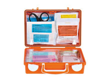 Cargar imagen en el visor de la galería, Imagen del botiquín de primeros auxilios pediátrico Quick-CD Jardín Infantil