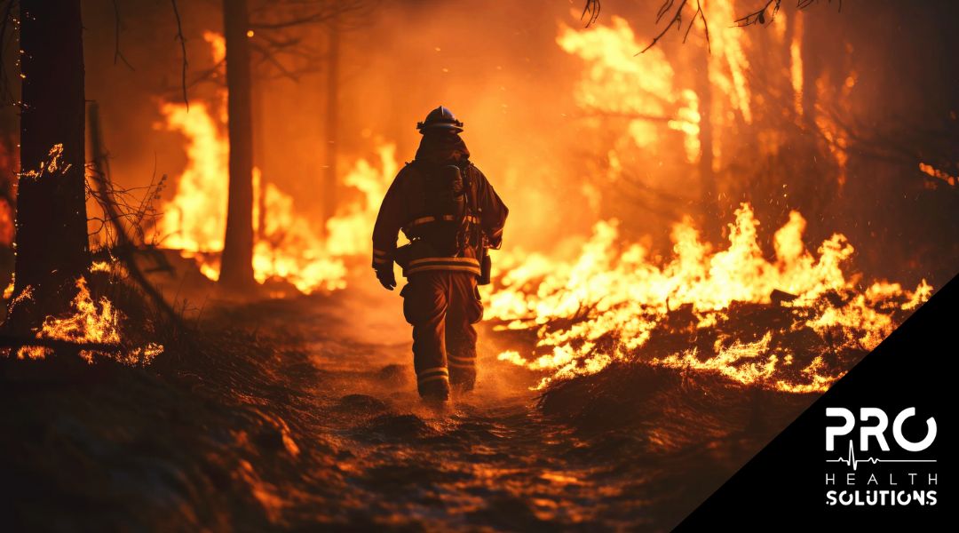 Imagen del artículo Equipamiento esencial contra incendios forestales