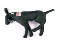 Imagen del Maniquí de entrenamiento canino profesional para rescate - Ruth Lee