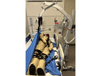 Imagen del Maniquí de entrenamiento para movilización y manejo de pacientes - Ruth Lee