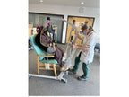 Imagen del Maniquí de entrenamiento para movilización y manejo de pacientes - Ruth Lee