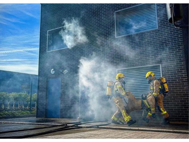 Imagen del Maniquí de Entrenamiento para Casas de Fuego (Fire House Training Manikins)
