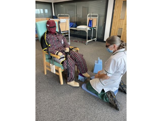 Imagen del Maniquí de entrenamiento para movilización y manejo de pacientes - Ruth Lee