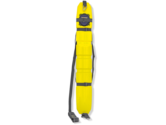 Imagen del dolphin tubo salvavidas de Spencer