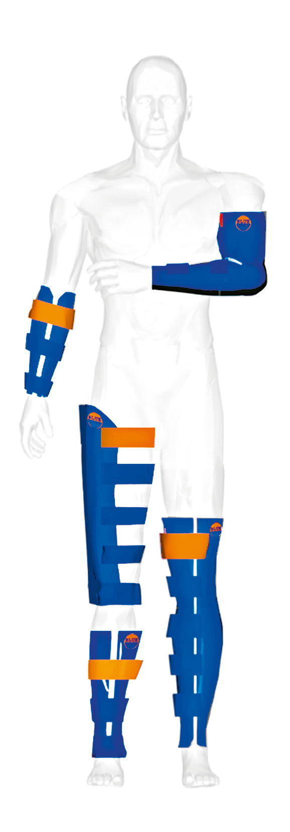 Imagen de férulas Blue Splint en maniquí